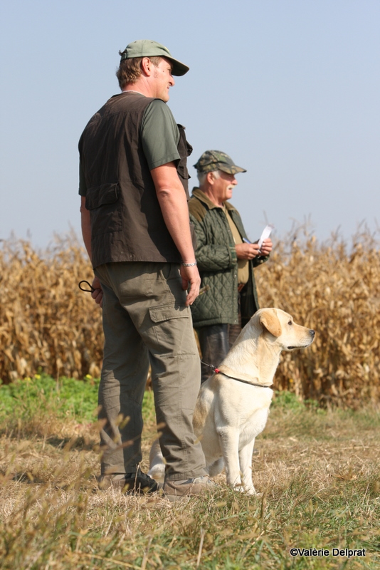 Field Erstein 09 (24).JPG